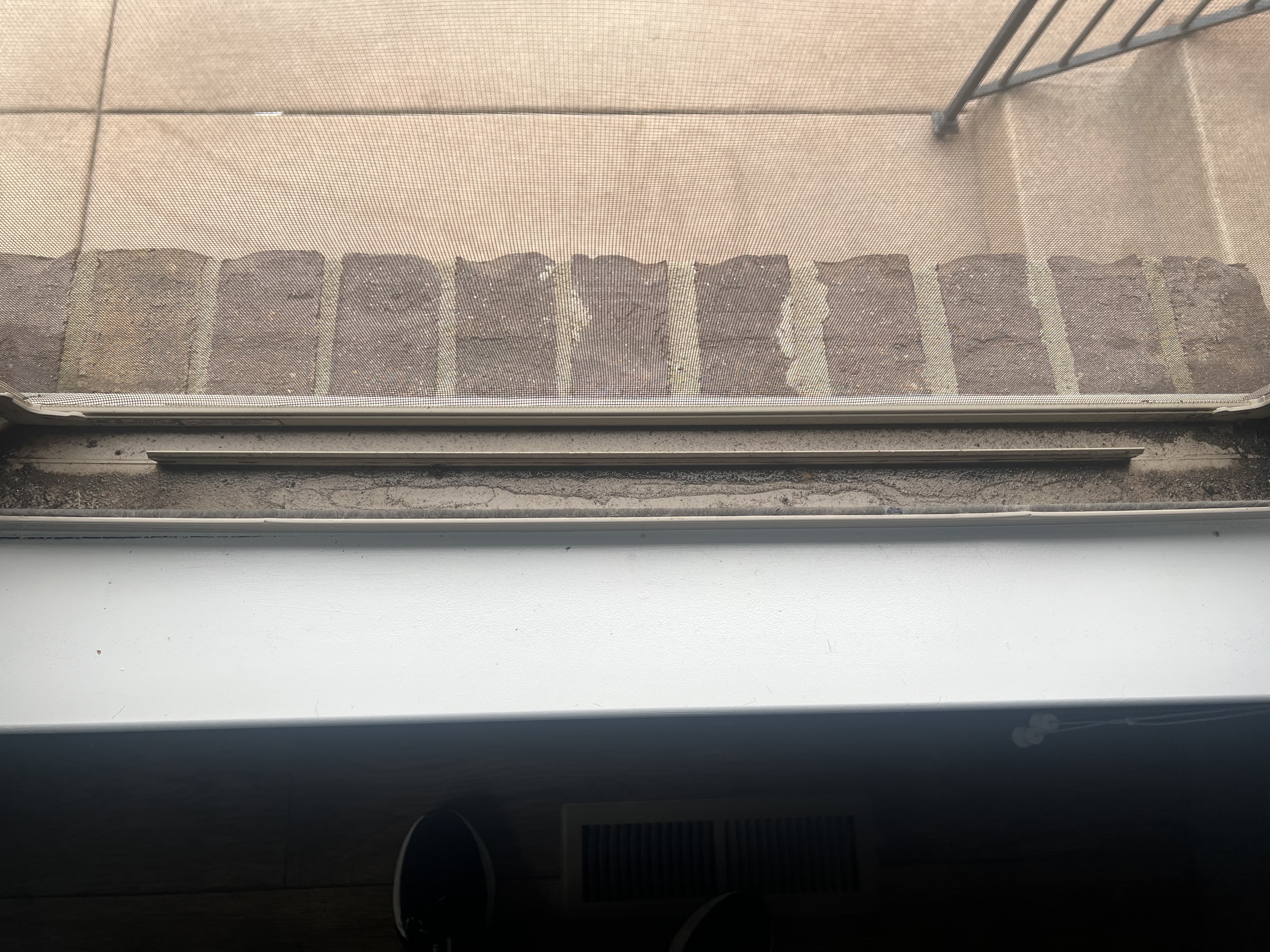 Clean window track after professional cleaning service